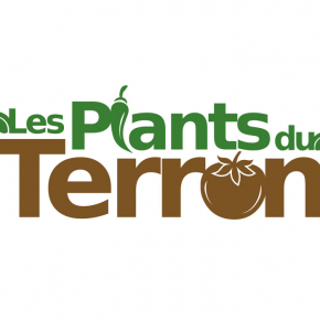 Benjamin PIEGAY, graphiste dans les Monts du Lyonnais | Logo Plants du Terron, plants potagers et maraîchers à Saint Martin en Haut
