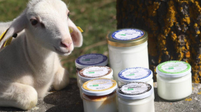 Benjamin PIEGAY, graphiste dans les Monts du Lyonnais | Nouvelle charte graphique pour La Bergerie de Piero et Mano à Saint Catherine dans les Monts du Lyonnais