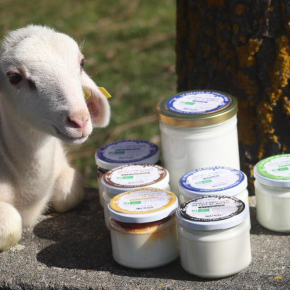 Benjamin PIEGAY, graphiste dans les Monts du Lyonnais | Nouvelle charte graphique pour La Bergerie de Piero et Mano à Saint Catherine dans les Monts du Lyonnais