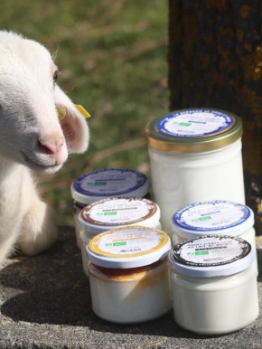 Benjamin PIEGAY, graphiste dans les Monts du Lyonnais | Nouvelle charte graphique pour La Bergerie de Piero et Mano à Saint Catherine dans les Monts du Lyonnais