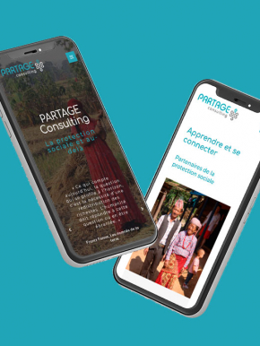 Benjamin PIEGAY, graphiste dans les Monts du Lyonnais | Site mobile pour Partage Consulting à Lyon